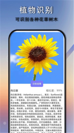 拍照识别识物免费版