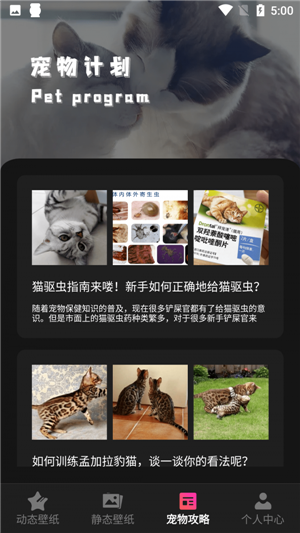 猫咪壁纸app