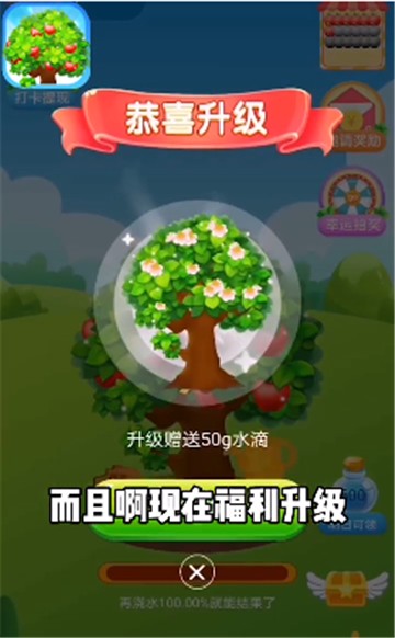 平安果园领红包游戏赚钱版 v1.0.0截图1