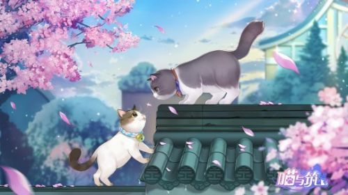 喵与筑手游评测：创造猫咪温暖世界图片1