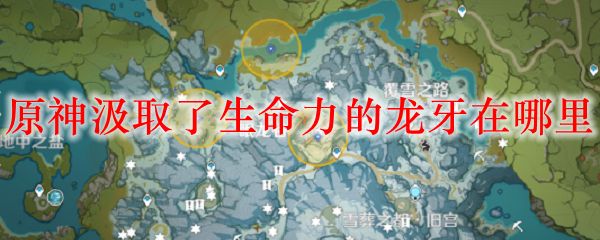 原神汲取了生命力的龙牙在哪？汲取了生命力的龙牙位置大全图片1