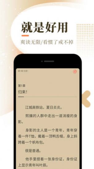 放肆小说APP官方版 v1.0截图1