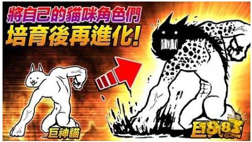 猫咪大战争截图4