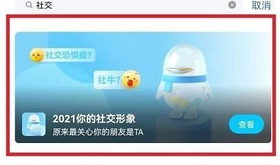 qq2021年度社交形象怎么看 qq2021年度社交形象查看入口