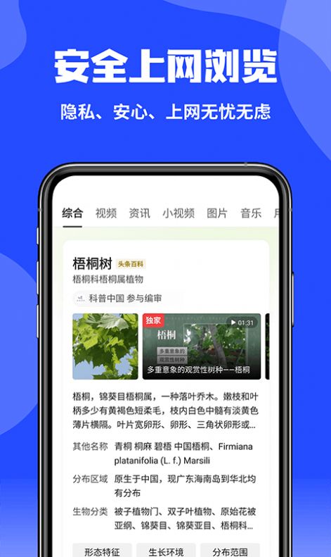 CCAV5导航截图3