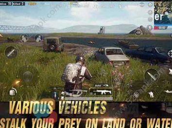 pubg国际服下载苹果版ios版图片1