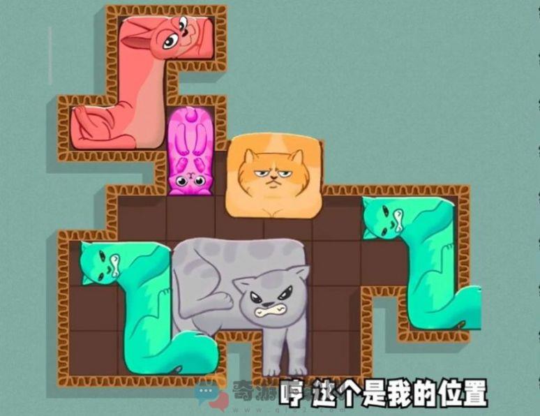 小猫挤一挤截图2