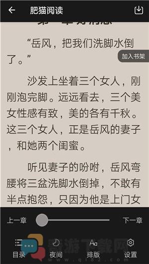 热门网络小说截图1