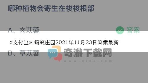 《支付宝》蚂蚁庄园2021年11月23日答案最新