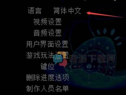 地心护核者怎么设置中文游戏界面?地心护核者中文设置方法3