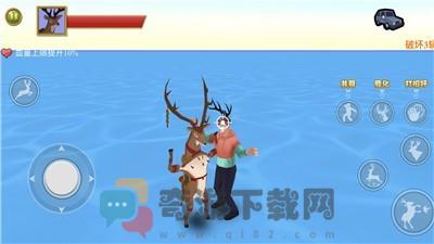 动物运动会截图1