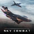 sky combat