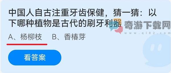 中国人自古注重牙齿保健猜一猜以下哪种植物是古代的刷牙利器