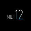 miui12.5答题答案