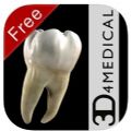 Dental Patient Education Lite