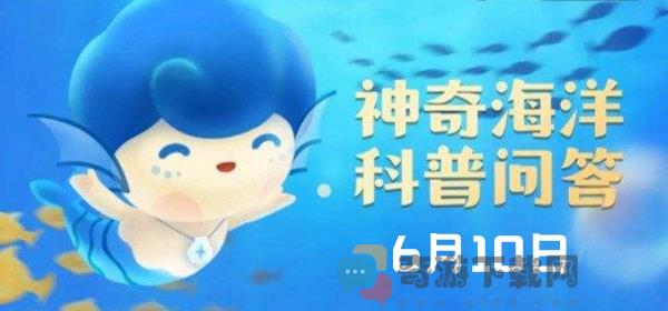 为什么我国近海没有湛蓝的海水 6月10日神奇海洋今日答案