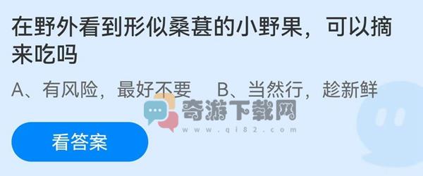 在野外看到形似桑葚的小野果可以摘来吃吗