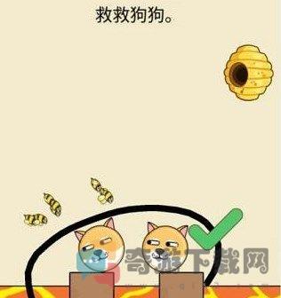 救救狗狗蜜蜂攻略大全