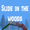 Slide in the woods