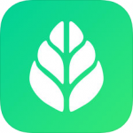 SGreen浏览器免费版