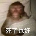 死了也好猴子表情包