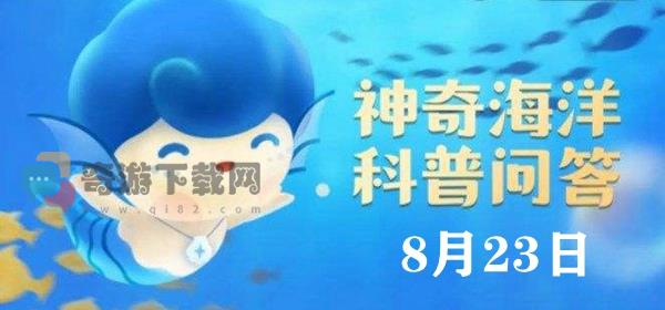 以下哪个是无脊椎动物中的脑力王者 神奇海洋今日答案8.23