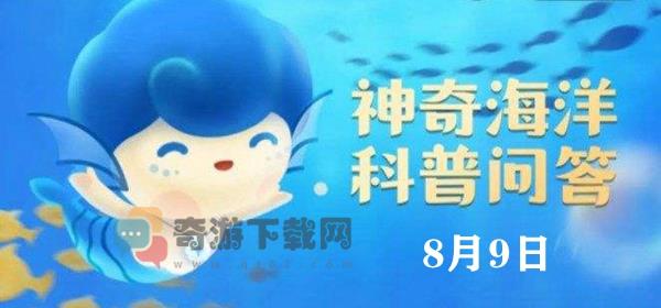 下列关于海葵的说法正确的是 神奇海洋今日答案8.9