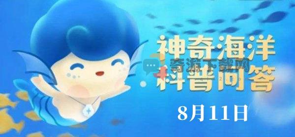 神奇海洋今日答案8.11：哪种鱼能同时适应海水和淡水