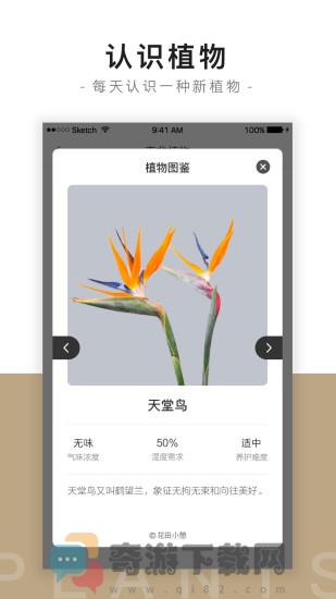 花田小憩最新版截图2