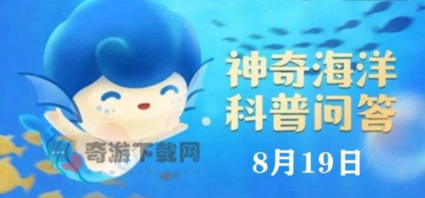 神奇海洋今日答案8.19：海星是鱼类吗