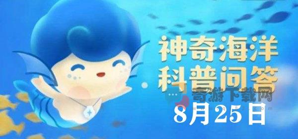 神奇海洋今日答案8.25：被人们称为“海兔”的海洋生物是