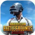 pubg mobile