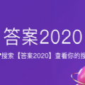 你的2020搜索账单