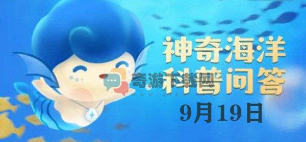 神奇海洋今日答案9.19：组成“海岸卫士”的红树林是某一种树吗