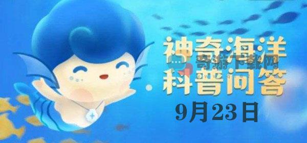 神奇海洋今日答案9.23：鹦鹉螺是海螺吗