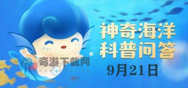 “领航鲸”之所以能领航，是因为它们能够 神奇海洋今日答案9.21