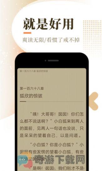 忧愁小说iOS版截图2