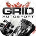 grid2019