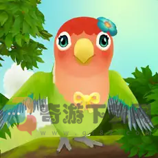 bird bnb游戏