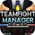 Teamfight Manager