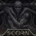 scorn