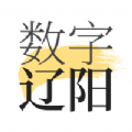 数字辽阳