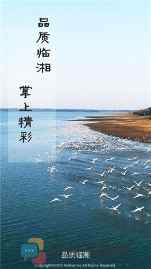 品质临湘截图4