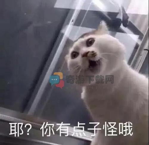 耶你有点子怪哦表情包 猫咪耶你有点子怪哦图片下载