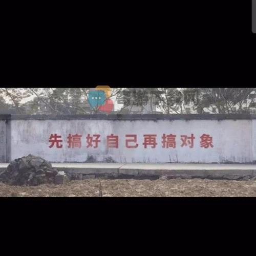 先搞好自己再搞对象表情包 墙上大字先搞好自己再搞对象图片