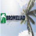 Bromeliad手机中文版