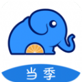 当季水果app