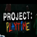 project playtime