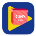 GMSinstaller