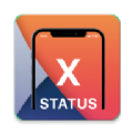 X-status